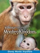 Monkey Kingdom DMA