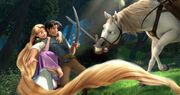Tangled Promotional.jpg
