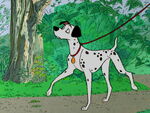 Pongo walks to Perdita