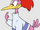 Aracuan Bird