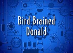 Bird brained donald 3large