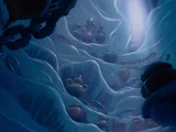 Ariel's Secret Grotto