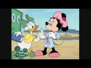 Minnie's Bathrobe.jpg (12 KB)