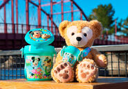 Spring Voyage popcorn bucket (Regular and Duffy sized).