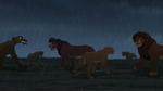 Kiara and Kovu stop the battle, confronting their parents