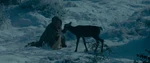 Aurora with a fawn