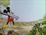 Mickey's Garden-14