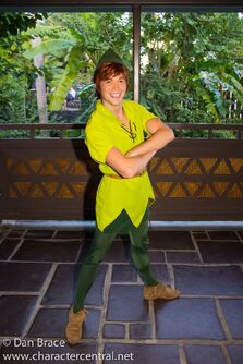 Peter Pan DP