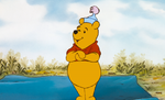 Winnie the Pooh Now is the next chapter all about me?