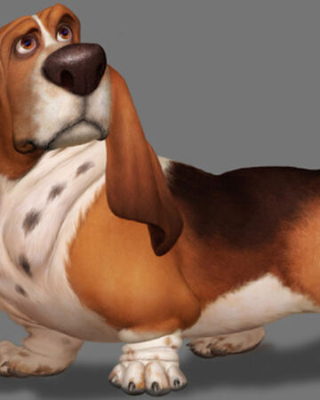 Beau Disney Wiki Fandom The basset is a scent hound that was originally bred for the purpose of hunting hare. beau disney wiki fandom