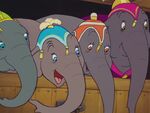 Elephant Matriarch and the other elephants