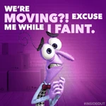 Inside-Out-324.jpg (104 KB)