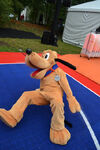 Pluto in basketball game.jpg (237 KB)