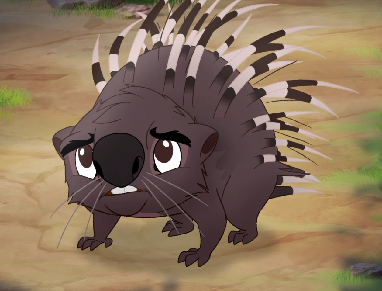 Category Porcupines Disney Wiki Fandom Porcupine are large rodents with coats of sharp and pointy spines, or quills, that protect them against predators. category porcupines disney wiki fandom