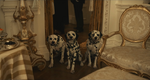 The Baroness' Dalmatians