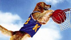 Air Bud Header.jpg