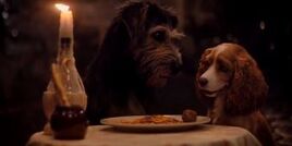 Bella Notte