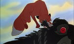 Fox-and-the-hound-disneyscreencaps.com-8705