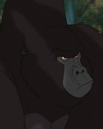 Kerchak Disney Wiki Fandom Watch online tarzan (1999) full movie on 123movies or download in hd on 123movies. kerchak disney wiki fandom