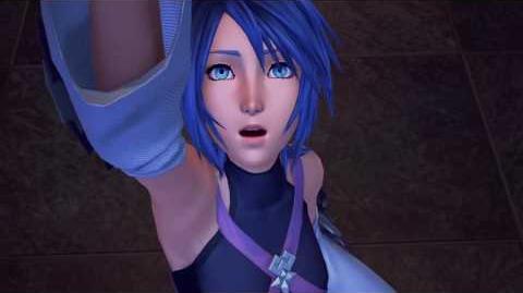 Kingdom Hearts HD 2