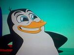 Percy the penguin03