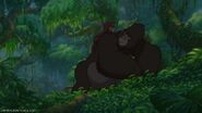 The baby playing with Kerchak.