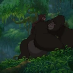 Kerchak And Kala S Baby Disney Wiki Fandom See more of tarzan on facebook.