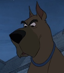 Danny Disney Wiki Fandom