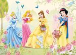 Disney Princess Garden of Beauty 2