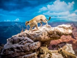Grand Canyon Diorama Animals