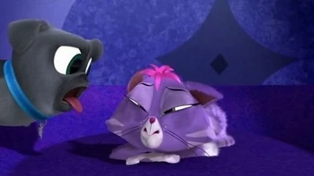 The Naptime Chronicle