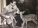 Walt with deer during the production of Bambi.