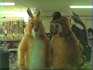 Actors trying out WTPC Rabbit and Owl costumes