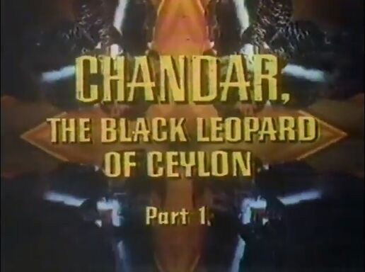 Chandar black leopard of ceylon title