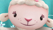 Close up of lambie