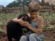 So-Dear-to-My-Heart-1948-Jeremiah-Kincaid-and-Danny-classic-disney-38462272-866-649.jpg (88 KB) Danny (in live-action form) with Jeremiah Kincaid