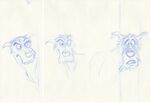 Drawings of Chief by Ollie Johnston