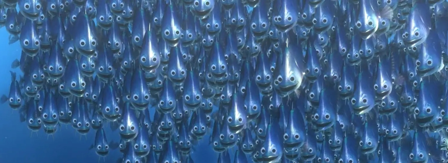 school of fish finding nemo