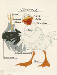 TLM production Scuttle model sheet- Scuttle 5