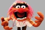 Animal (Franquicia de The Muppets)