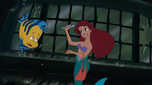 Ariel and flounder exploring