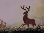 Bambi-disneyscreencaps.com-3144.jpg (170 КБ)