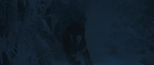 Jadis' Secret Police