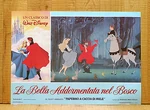 LA-BELLA-ADDORMENTATA-NEL-BOSCO-fotobusta-poster-Disney.jpg (45 KB) Lobby card from the 1989 re-release