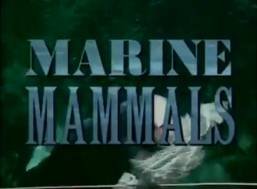 Marine Mammals Bill Nye