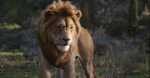 Simba (2019) 1