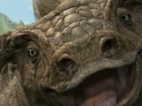 Ankylosaurus