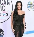 Demi Lovato at the American Music Awards in November 2013.