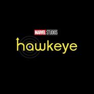 Hawkeye Logo