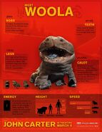 Guide on Woola